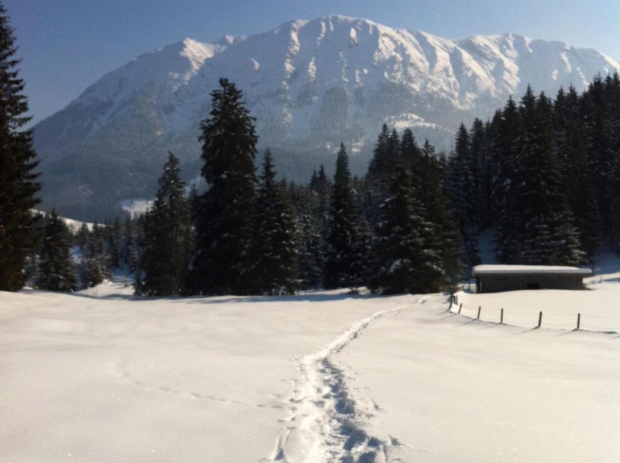 Vila Guffertblick Achenkirch Exteriér fotografie