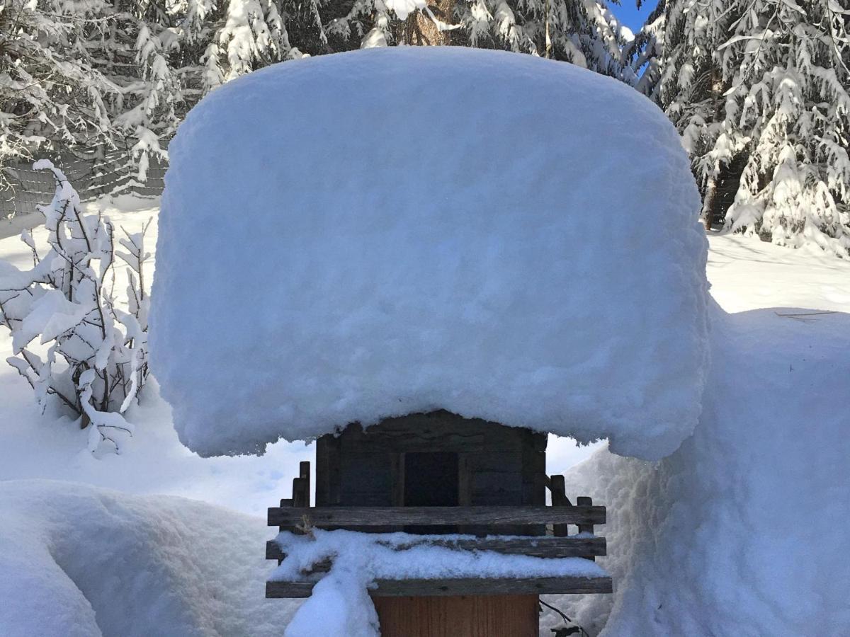 Vila Guffertblick Achenkirch Exteriér fotografie